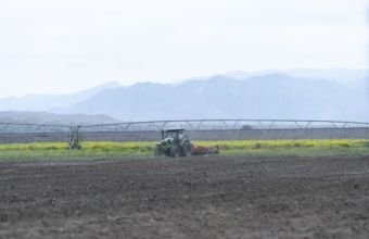 Ağalıda torpaqların sonuncu müraciət qəbuluna başlanıldı