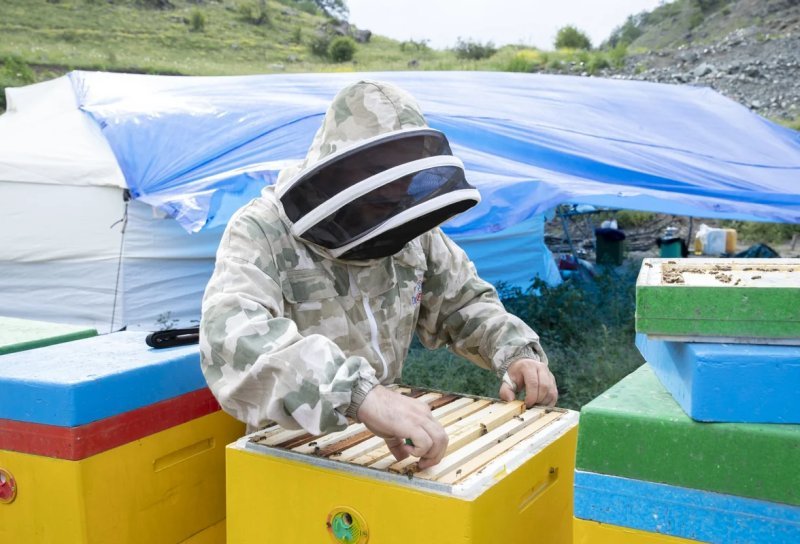 Azad edilmiş ərazilərə köçən 8466 nəfərin məşğulluğu təmin edilib