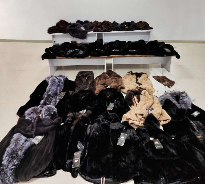 Azərbaycan gömrükçüləri xəz dəri məmulatları aşkar edib