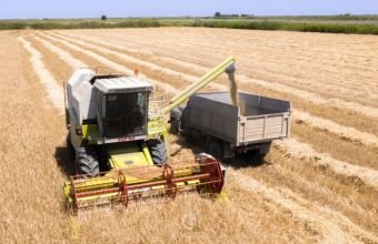 Azərbaycanda aqrar sektor cüzi böyüyüb