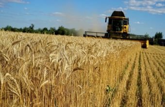 Azərbaycanda ötən il 400 min hektara yaxın əkin sahəsi sığortalanıb