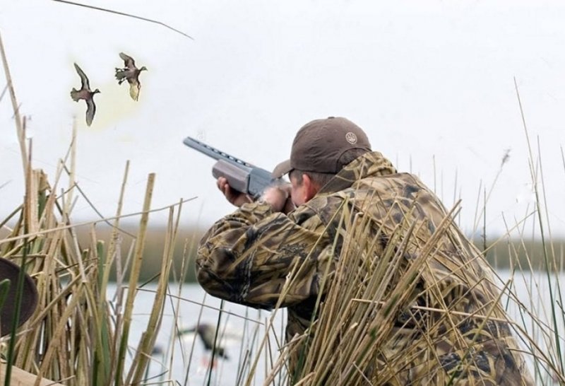 Azərbaycanda yeni yaradılan hər iki milli parkda ova icazə veriləcək