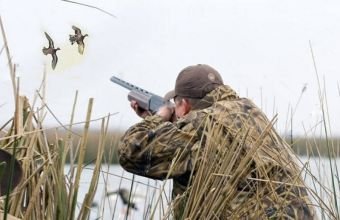 Azərbaycanda yeni yaradılan hər iki milli parkda ova icazə veriləcək