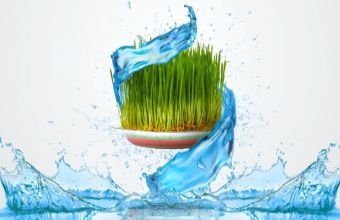 Bu gün Novruzun ilk - Su çərşənbəsidir