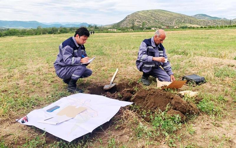 ƏMDX: Azad edilən ərazilərdə 6 min hektar icarəyə verilib