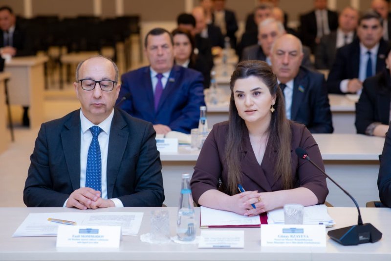 Günay Rzayeva: 2025-ci ildə ümumilikdə 9634 nəfər Ombudsmanın aktiv dəstəyini hiss edib