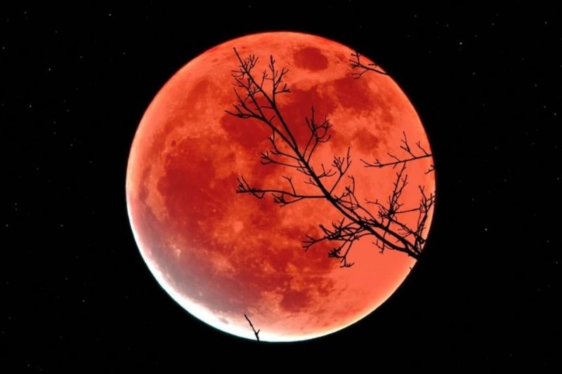 İlin ilk Ay tutulması nə vaxt olacaq?