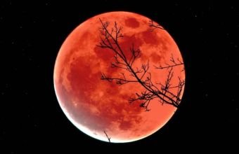 İlin ilk Ay tutulması nə vaxt olacaq?