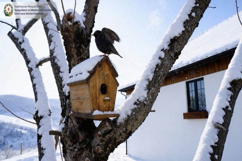 Laçın bir cənnətdir - qışı möcüzə -