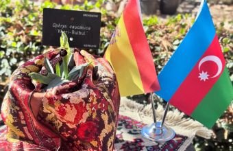 Madriddəki Kral Nəbatət bağında Xarıbülbül çiçək açıb