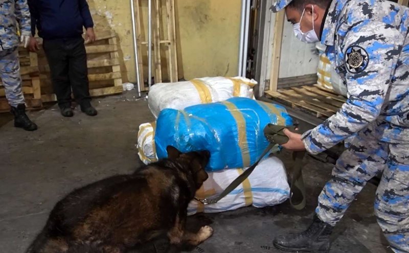 Narkotik vasitənin "göyərti" yükündə gizlədilərək keçirilməsinə cəhdin qarşısı alınıb -