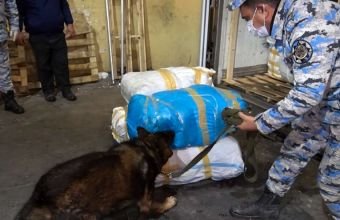 Narkotik vasitənin "göyərti" yükündə gizlədilərək keçirilməsinə cəhdin qarşısı alınıb -