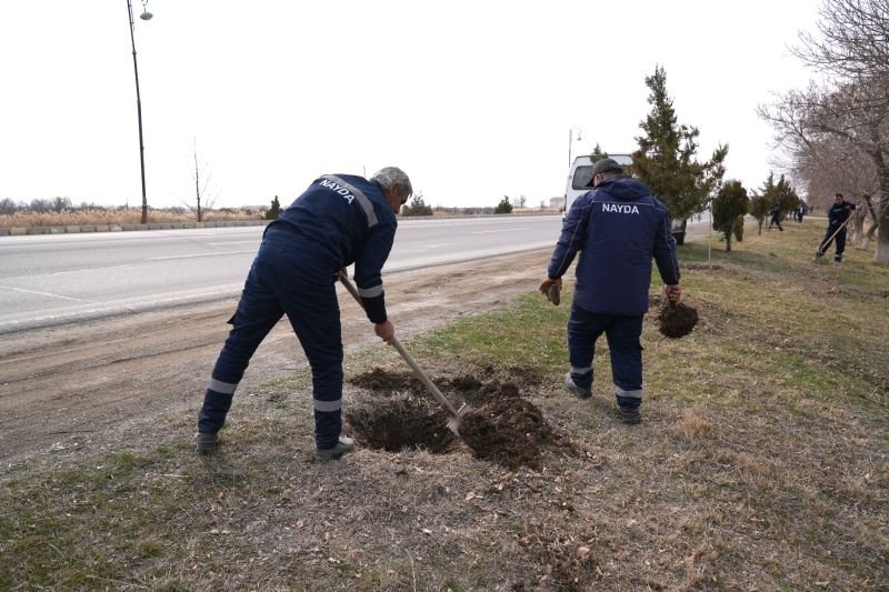 “Naxçıvan Avtomobil Yollarının Yaşıllaşdırılması”  MMC təsis olunub -