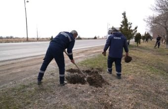 “Naxçıvan Avtomobil Yollarının Yaşıllaşdırılması”  MMC təsis olunub -