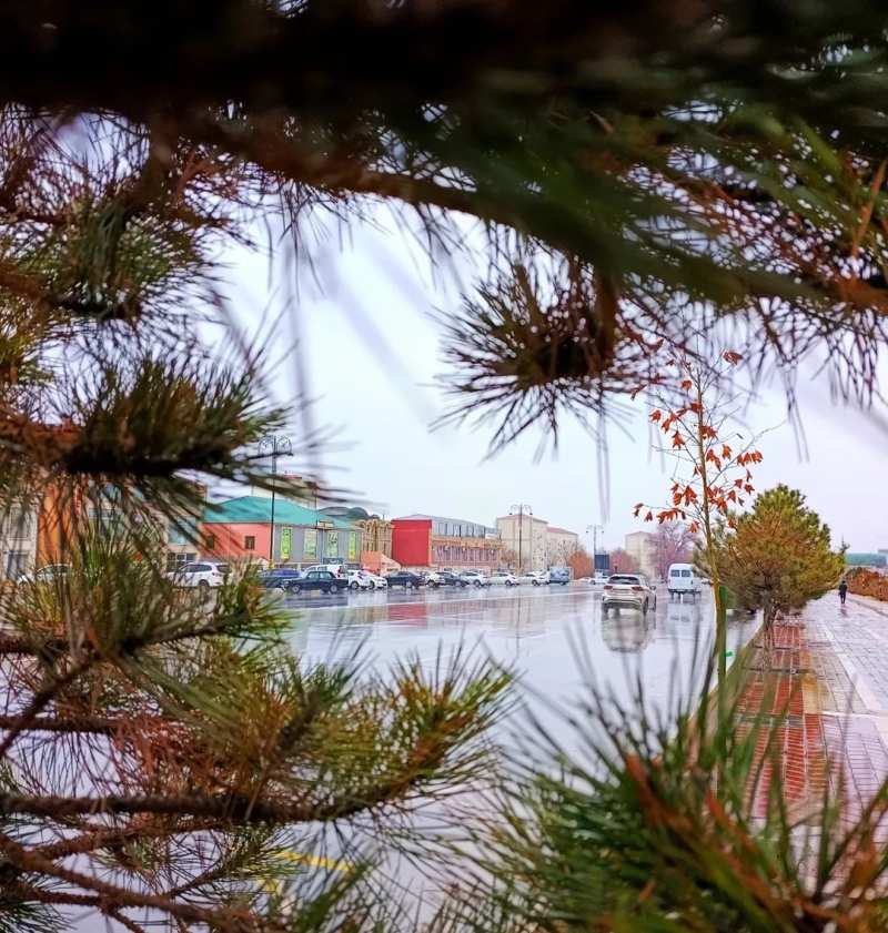 Naxçıvan və rayonlarında yağıntı və güclü külək qeydə alındı