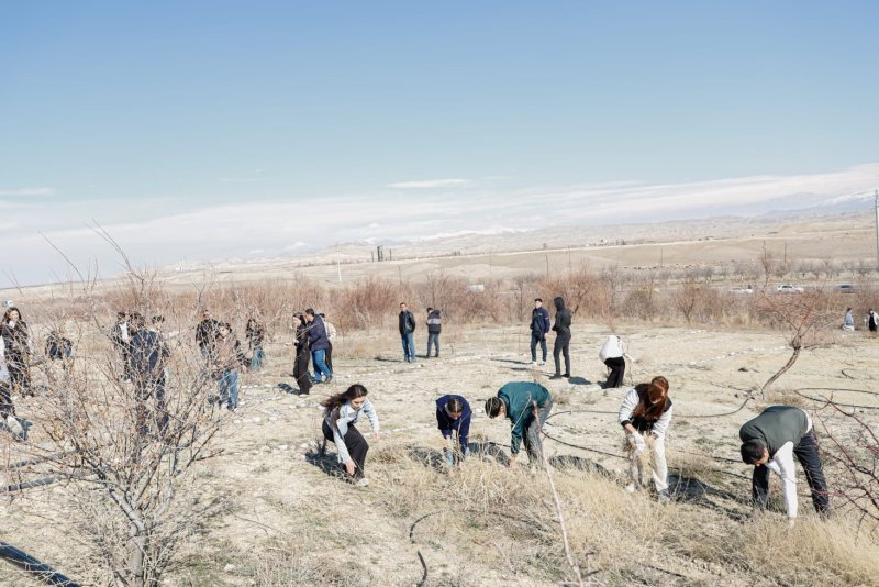 Naxçıvanda ağacəkmə və təmizlik aksiyaları keçirilib -