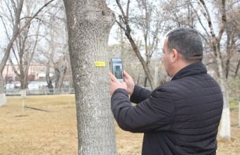 Naxçıvanda ağacların nömrələnməsi prosesi davam edir -