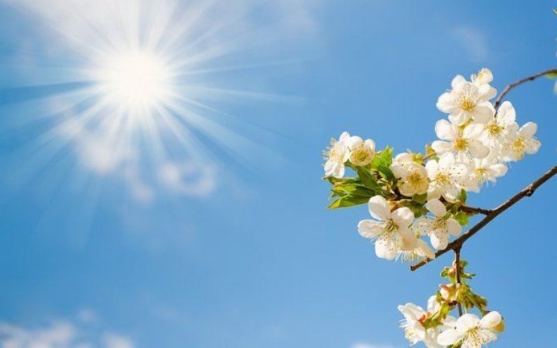 Naxçıvanda mart ayında hava necə olacaq?