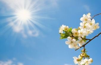 Naxçıvanda mart ayında hava necə olacaq?