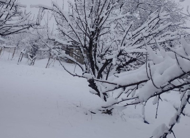 Naxçıvanda qar örtüyü 2 metrə yaxındır