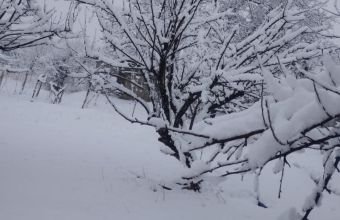 Naxçıvanda qar örtüyü 2 metrə yaxındır