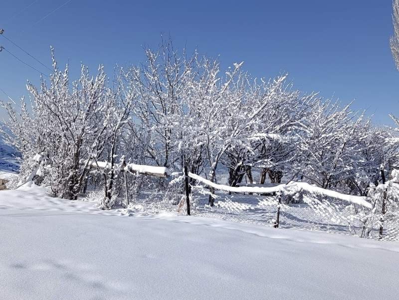 Naxçıvanın dağlıq ərazilərinə qar yağıb