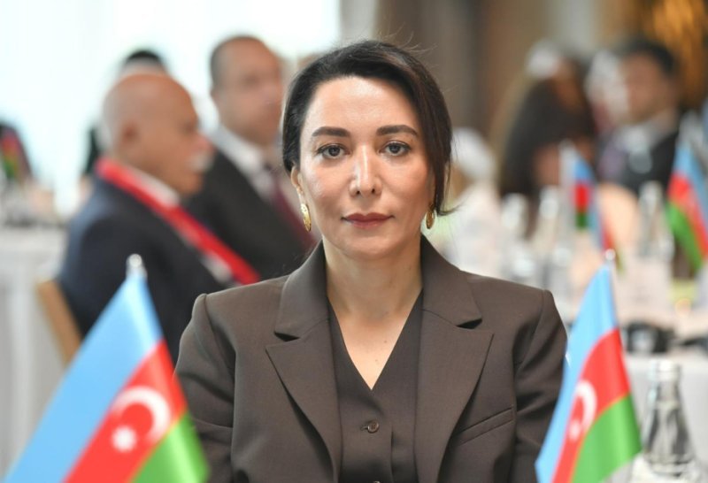 Ombudsman azyaşlıların skuterlərdən istifadəsi ilə bağlı müraciət etdi