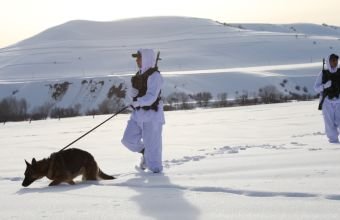 Ötən ay dövlət sərhədini pоzduqlarına görə 17 nəfər saxlanılıb