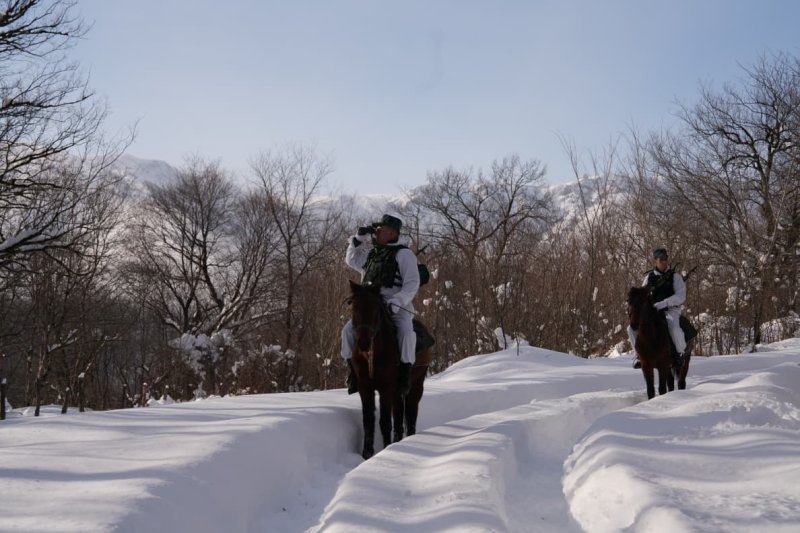 Ötən ay sərhəddə aşkarlanan qaçaqmal malların ümumi dəyəri açıqlanıb