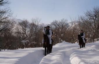 Ötən ay sərhəddə aşkarlanan qaçaqmal malların ümumi dəyəri açıqlanıb