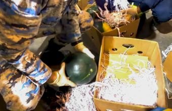 "Qarpız" yükündə gizlədilən külli miqdarda narkotik aşkar edilib -