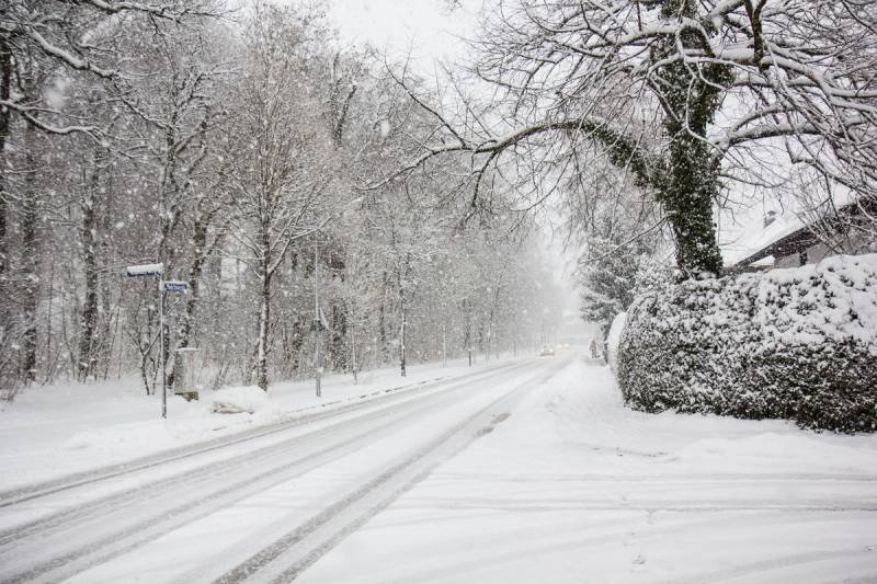 Şahbuzda qarın qalınlığı 1 sm-dir