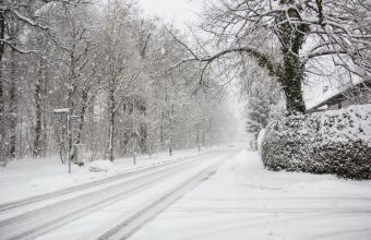 Şahbuzda qarın qalınlığı 1 sm-dir