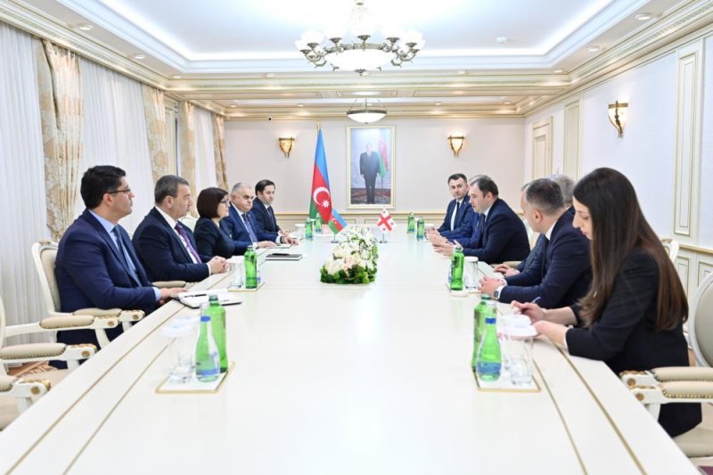 Sahibə Qafarova Gürcüstan Parlamentinin Xarici əlaqələr komitəsinin sədri ilə görüşüb