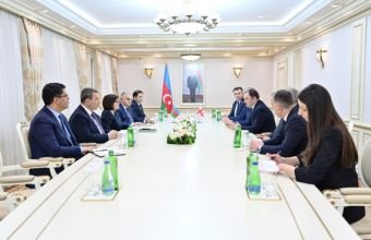 Sahibə Qafarova Gürcüstan Parlamentinin Xarici əlaqələr komitəsinin sədri ilə görüşüb