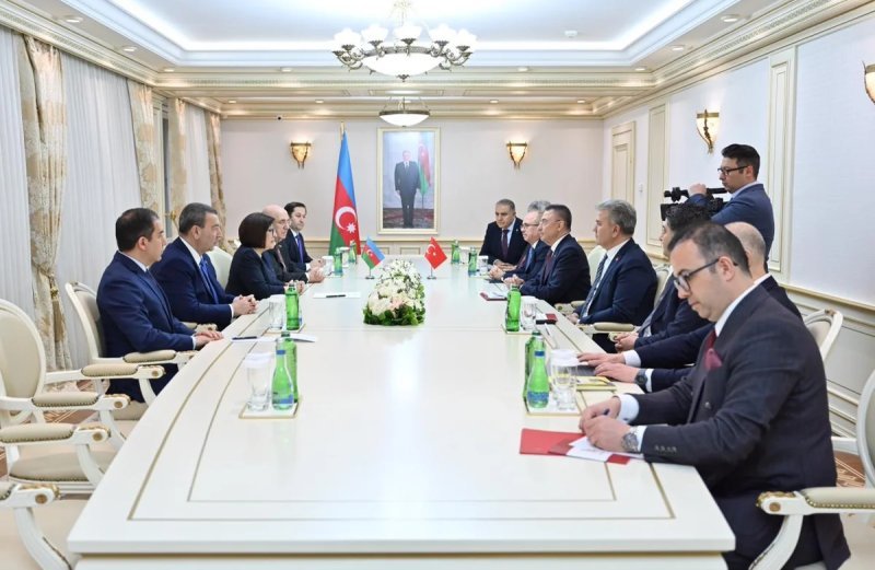 Sahibə Qafarova TBMM-nin Xarici əlaqələr komitəsinin sədri ilə görüşüb