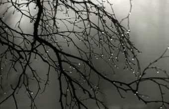 Yağıntılı hava şəraiti nə vaxtadək davam edəcək?