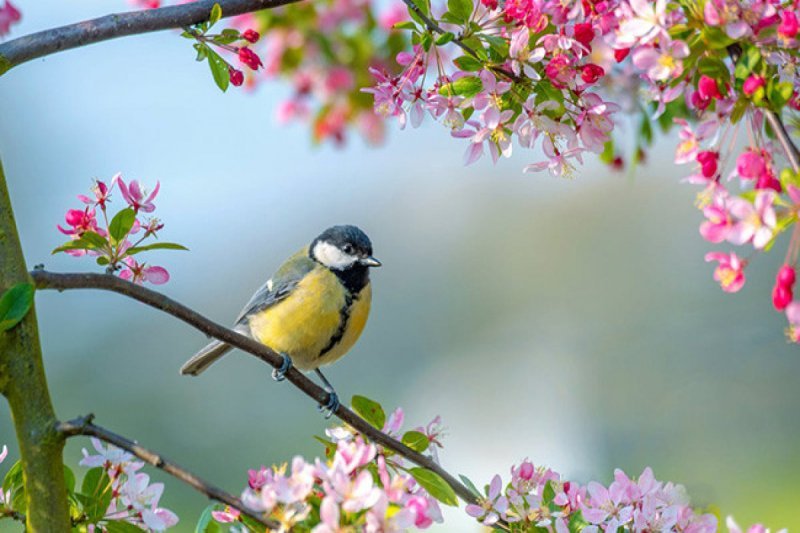 Yaz fəslinin Azərbaycana daxil olacağı vaxt açıqlanıb
