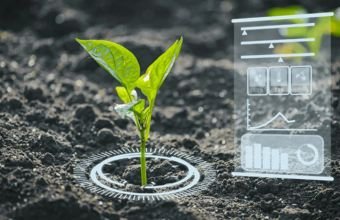 Azərbaycan aqrar sektorda 33 yeni modul istifadəyə verəcək