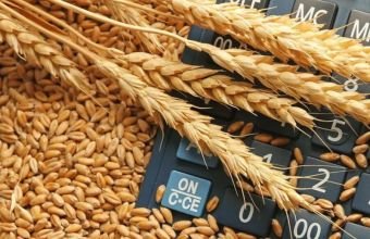 Azərbaycan buğda idxalını 37 % artırıb