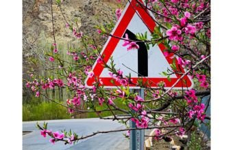 Azərbaycana yaz fəsli daxil olub