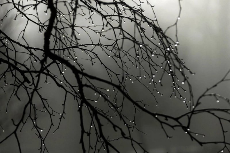 Azərbaycanda yağıntının miqdarı 100 ilin rekordunu yenilədi