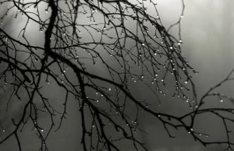 Azərbaycanda yağıntının miqdarı 100 ilin rekordunu yenilədi