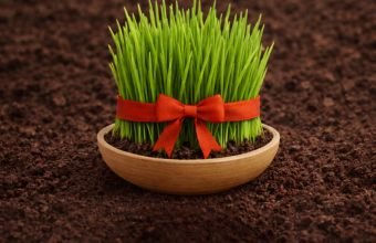 Bu gün İlaxır çərşənbədir