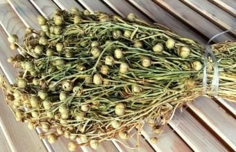 Dövlət Dəniz və Liman Agentliyi üzərliklə bağlı dənizçilərə xəbərdarlıq edib