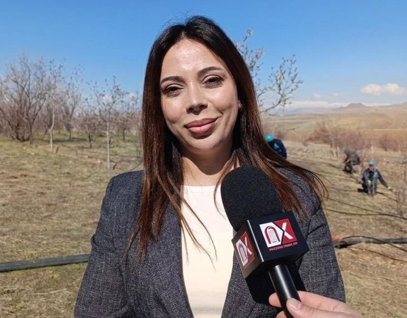 ETSN-nin əməkdaşı: Naxçıvanda yaz mövsümü üçün hazırlıq işləri görülür