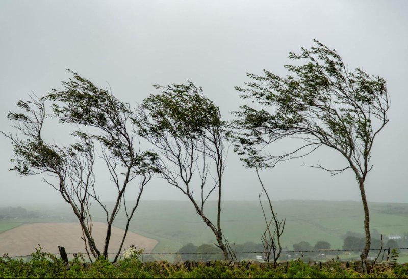 FHN gözlənilən hava şəraiti ilə bağlı əhaliyə müraciət edib
