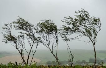FHN gözlənilən hava şəraiti ilə bağlı əhaliyə müraciət edib
