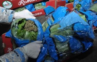 "Kahı" yükünün içərisində külli miqdarda marixuana aşkar edilib