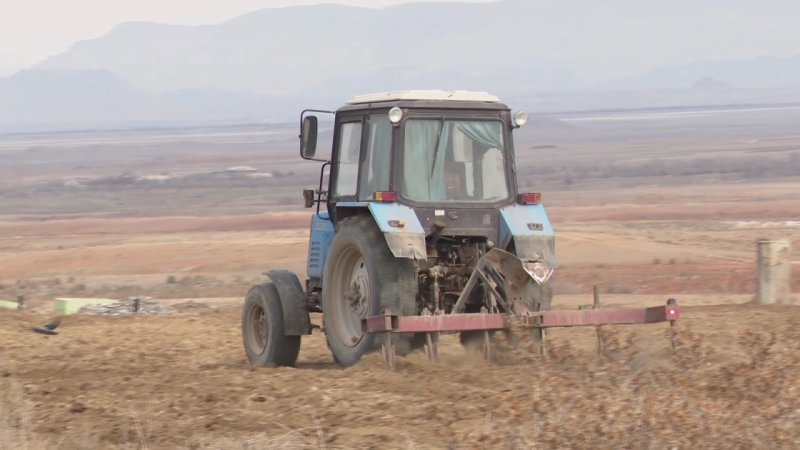 Naxçıvanda 1 128 hektarda yazlıq əkin başa çatdırılıb -